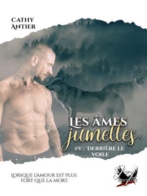 cover image of Les âmes jumelles, Tome 5